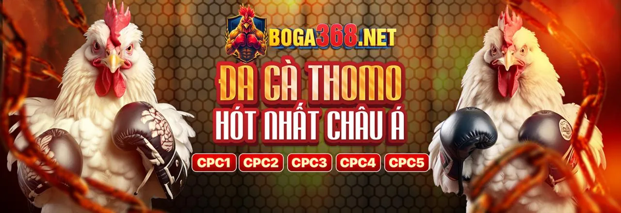 Đá gà trực tuyến kịch tính tại hi88823 win